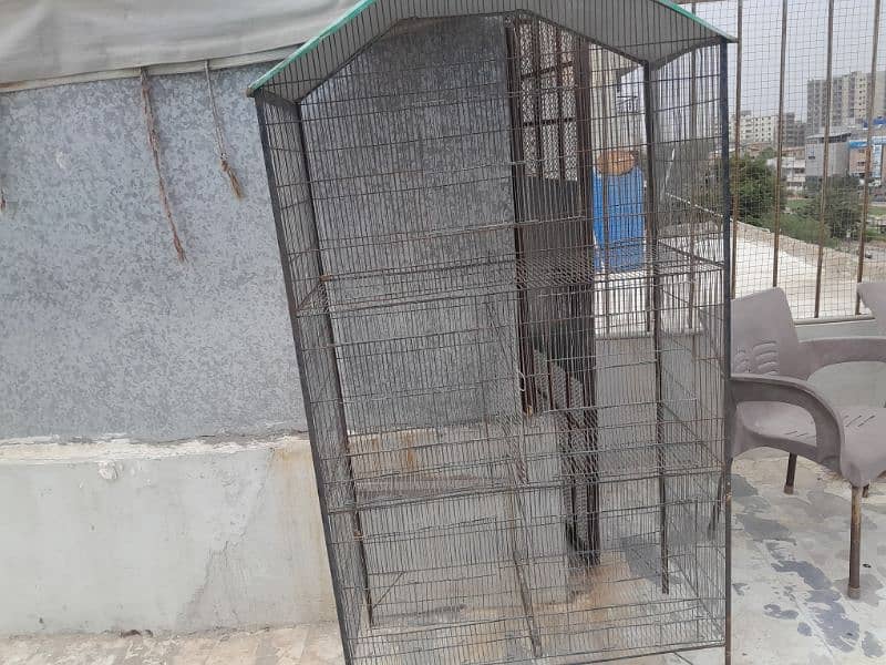 iron cage/iron cage/bird cage/hen cage/lohe ka pingrra/pingr/pingree/a 6