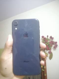 iPhone xr 64gb non pta (exchange available)