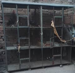 Iron cages for sale