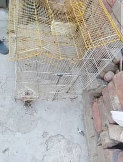 parrot and hen cage .