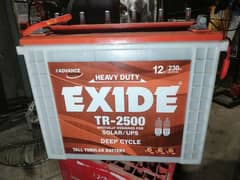 Exide tubular battery TR-2500