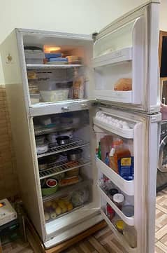 LG Refrigerator