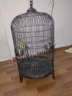 Big parrot Cage Available for Sale