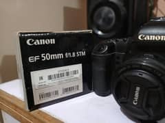 Canon 5D mark ii with canon 50mm stm lens