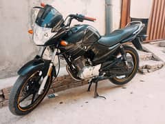 YAMAHA YBR 125