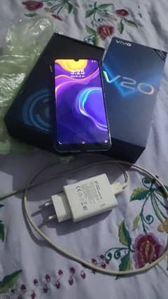 vivo