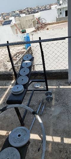 gym plates dumbles and exercise machines cycle bench press