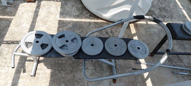 gym plates dumbles and exercise machines cycle bench press 1