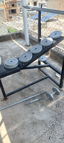 gym plates dumbles and exercise machines cycle bench press 2