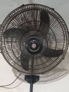 Fan