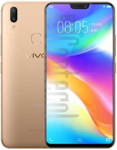 vivo