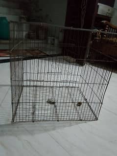 cage for sale