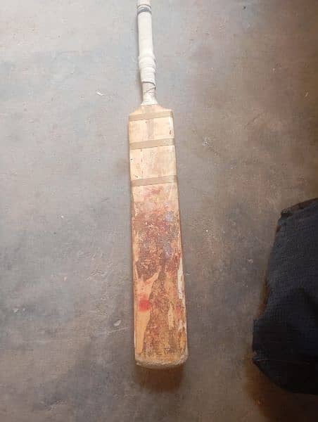 hardball cricket bat 2