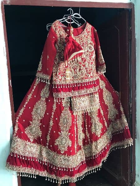 Bridal lehnga/Nikkah dress/Braidal walima maxi/Walima dress 2