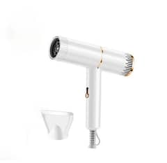 Professional Hair dryer