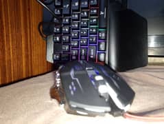 gaming mouse and keyboard