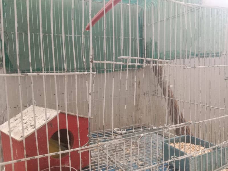 Slightly used parrot's cage Available 1