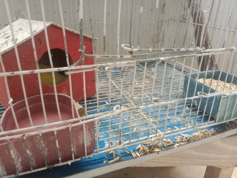 Slightly used parrot's cage Available 2