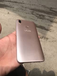 vivo