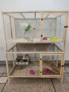 Australian Budgies and finches with wooden cage