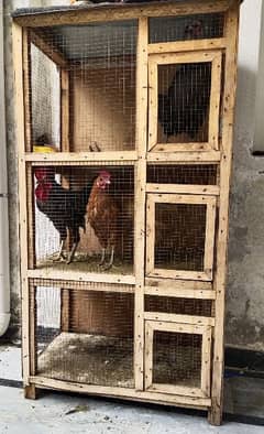 Triple portion cage for sale