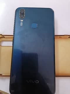 vivo