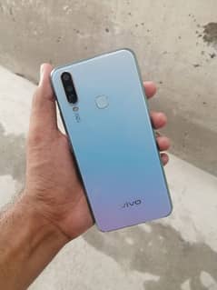 vivo