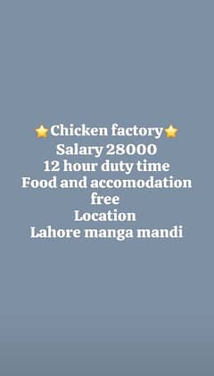 chicken factory Goli tafi job Parsal Job Bread Factory