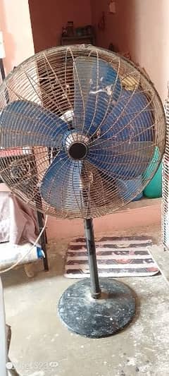 Asia fan 24 inc