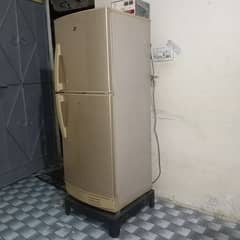 pel refrigerator 03152088129