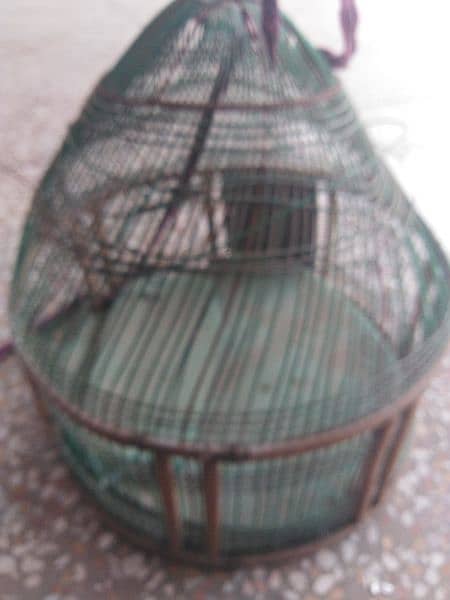 birds cage 0