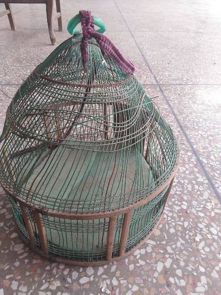 birds cage 1