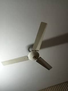 Japan fan celling fan