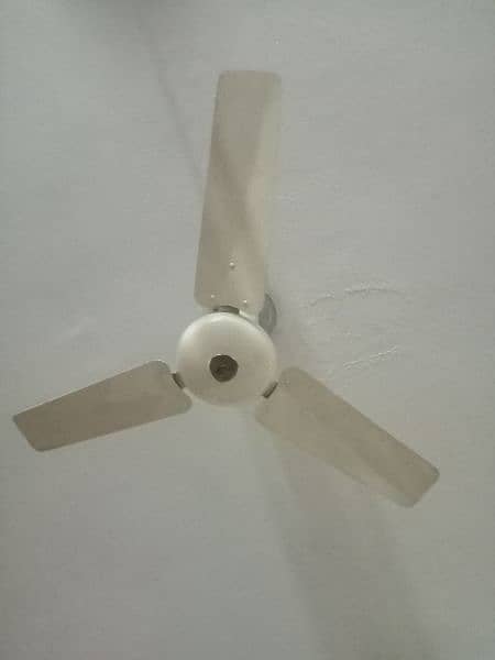 pakfan celling 0