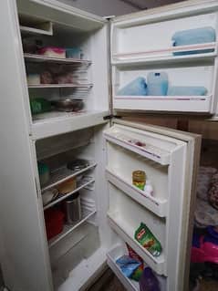 refrigerator & freezer