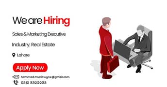 Sales & Marketing Executive