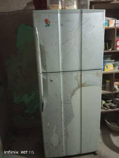 fridge imported