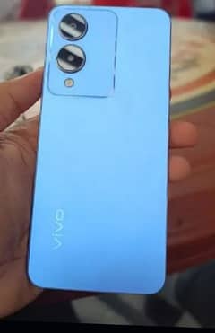 vivo