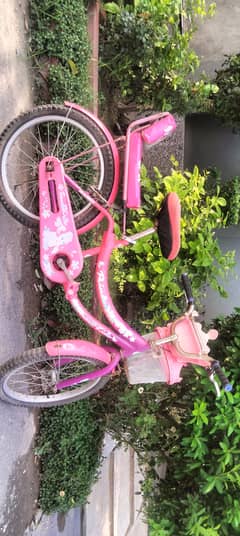 Barbie girl cycle