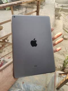 Apple Ipad 7th Generation