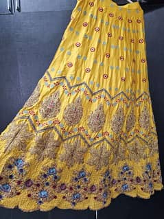 embroidered lehnga choli