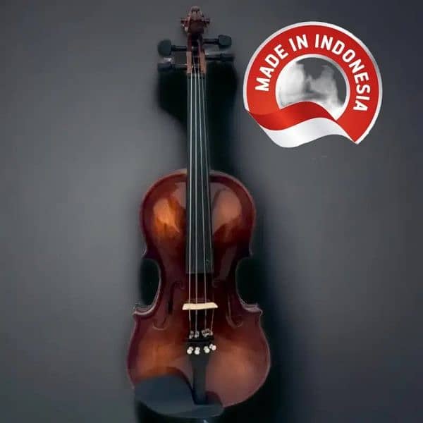 Begginer violin, high quality violins, professional violins 1