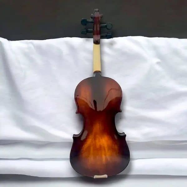 Begginer violin, high quality violins, professional violins 2