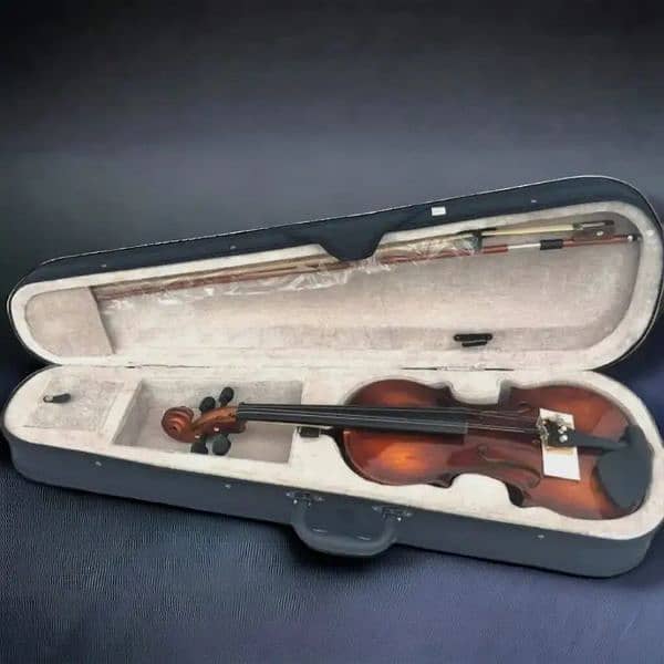 Begginer violin, high quality violins, professional violins 3