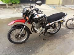 RAVI PIAGGIO FOR SALE