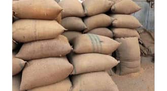 Gandum wheat in wholesale rate i9 Islamabad