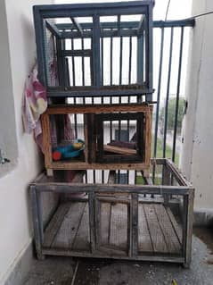 cages for hen and pigeons