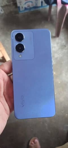 Vivo y 17s