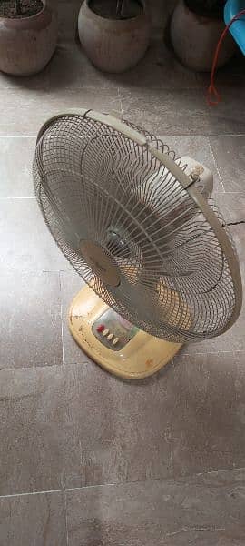 Royal Pedestal Fan 5