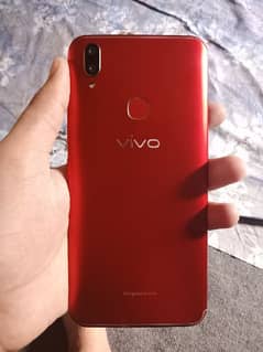 vivo